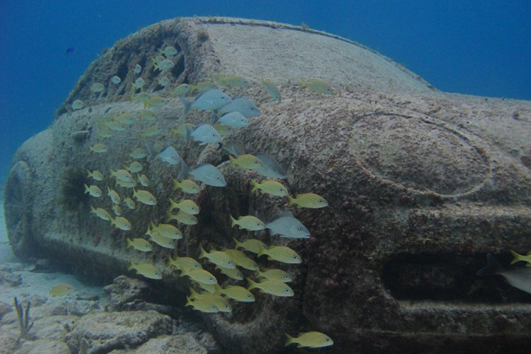 Cancun: Nurkowanie z rurką w Muzeum Podwodnym i na rafie Manchones