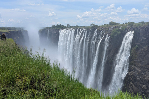 Victoria Falls Cross-Border Tour:Big Tree & Historic Bridge