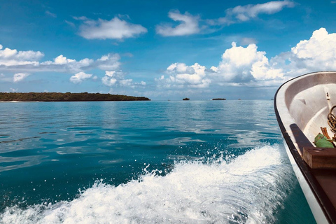 Tour particular: Golfinhos e Safári Azul na Ilha Pungume