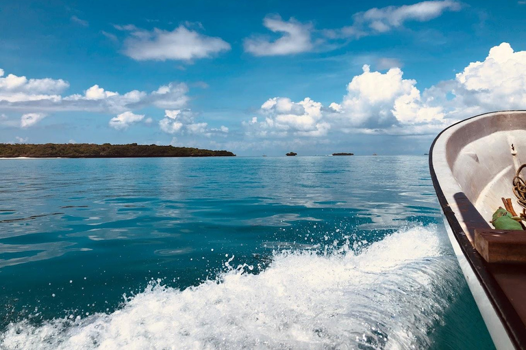 Tour particular: Golfinhos e Safári Azul na Ilha Pungume