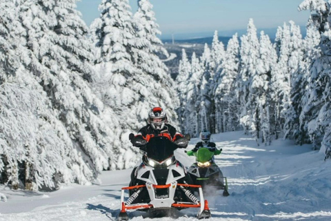 From Batumi: Snowmobile Adventure to Magical Gomarduli