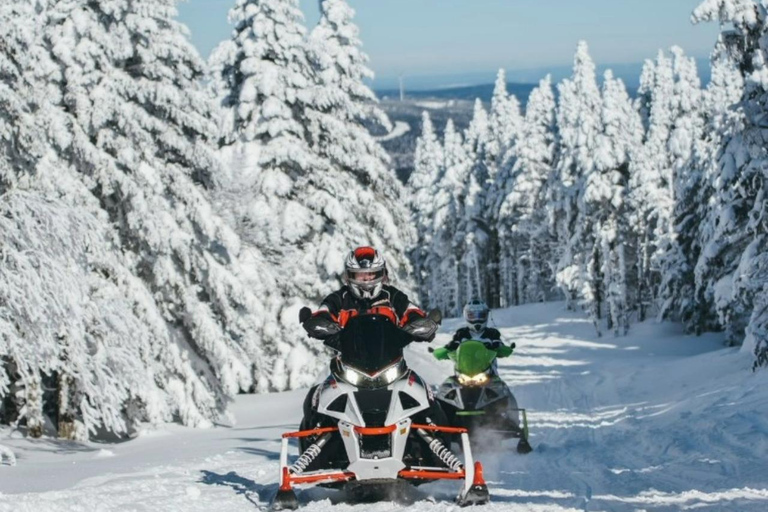 From Batumi: Snowmobile Adventure to Magical Gomarduli