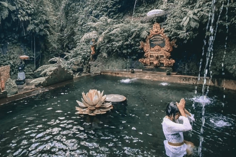 Bali: Taman Pecampuhan Sala Temple Melukat Ceremony