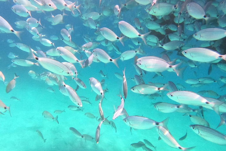 Depuis Lefkimmi : Excursion en bateau vers Sivota et la lagune bleueCroisière privée Sivota - Lagon bleu (de Lefkimmi - Kavos)