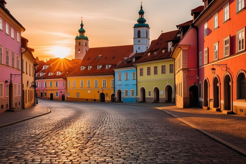 Da Vienna: Gita privata di un giorno a Bratislava con trasferimento