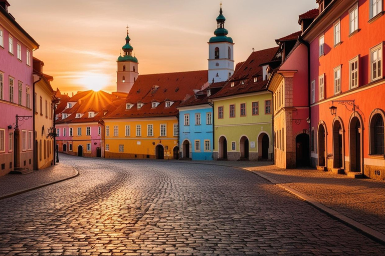 Da Vienna: Gita privata di un giorno a Bratislava con trasferimento