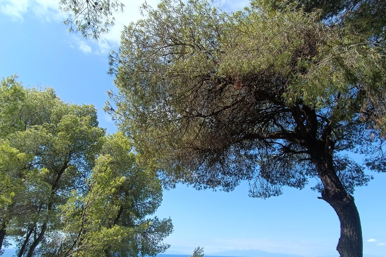 Thessaloniki: Halkidiki Beaches Tour with Swimming