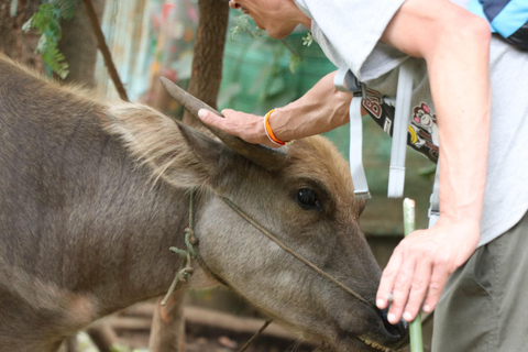 Chiang Mai: Full Day 5 Hill Tribes Tour Transport by Van