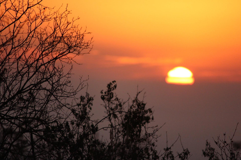 Mombasa: Tsavo West Overnight Safari & Night Drive at Ziwani