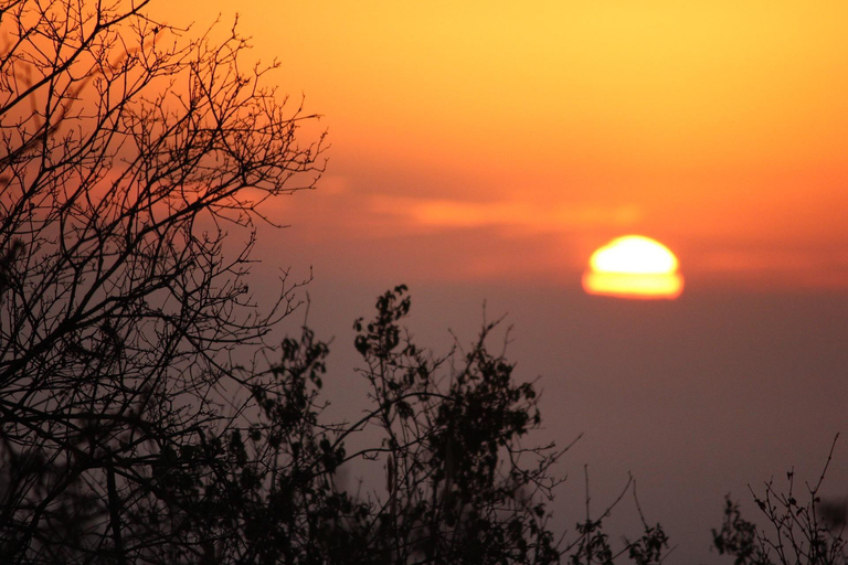 Mombasa: Tsavo West Overnight Safari & Night Drive at Ziwani