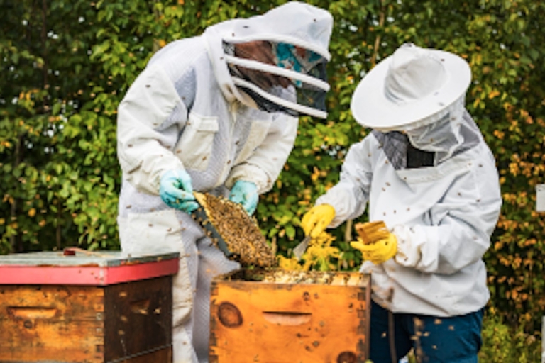 Ciudad de Quebec: Visita a la miel y a la destilería con degustaciónVisita guiada y degustación de la destilería inglesa