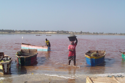 Dakar region: Lac Rose and Noflaye tortoise park