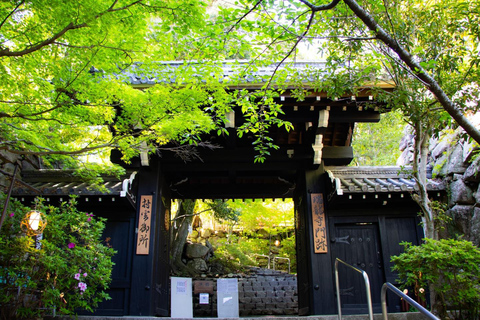 From Kyoto: Lake Biwa & Omi Hachiman Private Day Trip