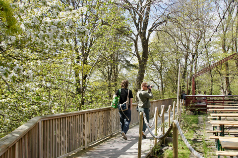 Oslo: Island Hopping with Optional Lunch
