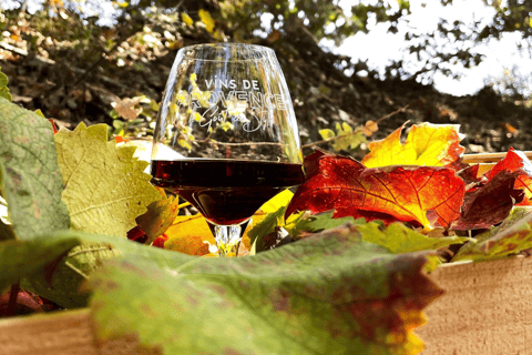 Saint-Tropez: Vintage Car Wine Tour Vintage wine tour in St-Tropez