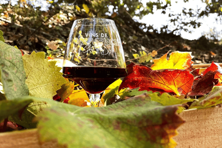 Saint-Tropez: Vintage Car Wine Tour Vintage wine tour in St-Tropez