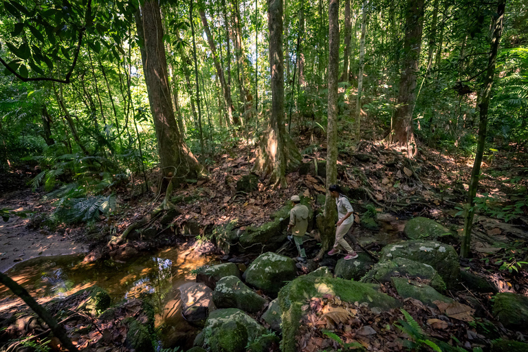 Langkawi: Conquer the Challenging Gunung Raya Jungle Trek