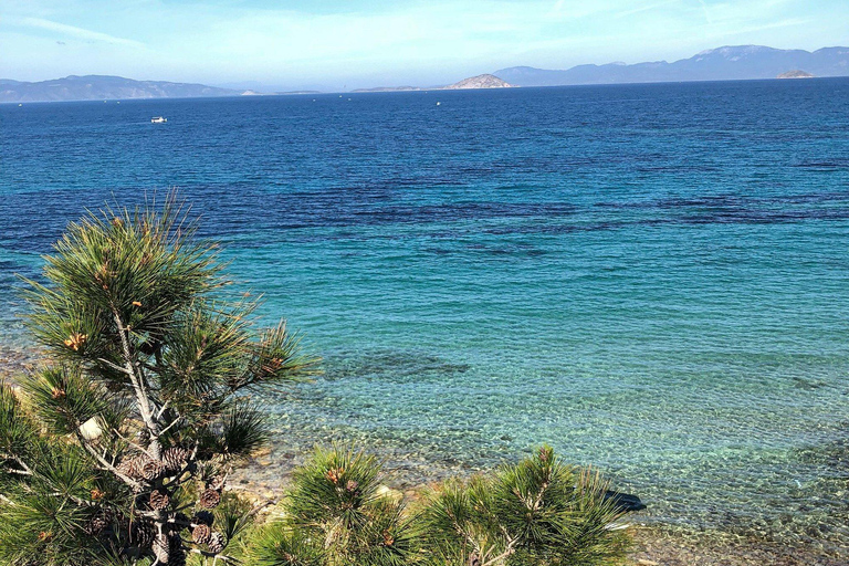 From Athens: Aegina Island Day Trip with Ferry Ride From Athens: Aegina Island Day Trip Without Ferry Tickets