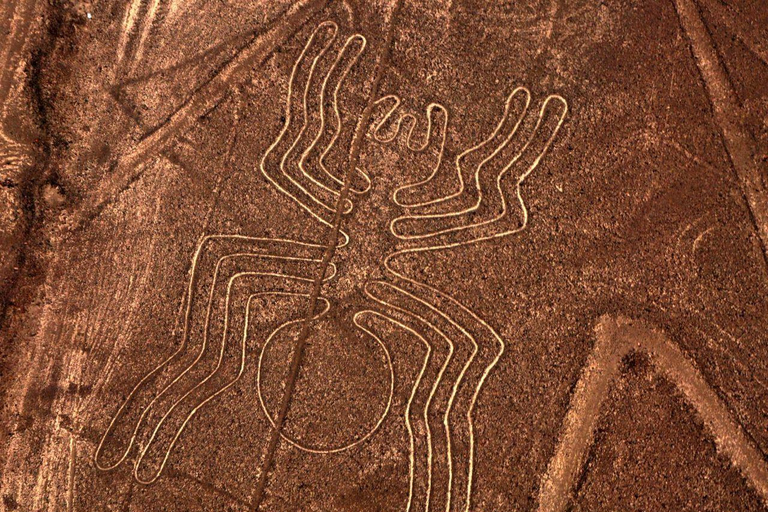 From Nazca: Flight in a light aircraft over the Nazca Lines