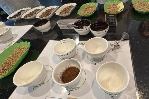Addis Ababa: Coffee Culture Tour with Market & Roastery Private Addis offee Tour with Roasting, Cupping & Market …