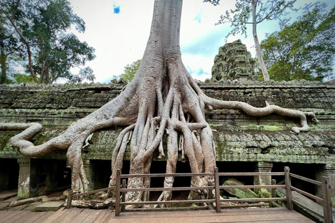 Siem Reap: Biglietto d&#039;ingresso per Angkor WatBiglietto di un giorno per Angkor Wat