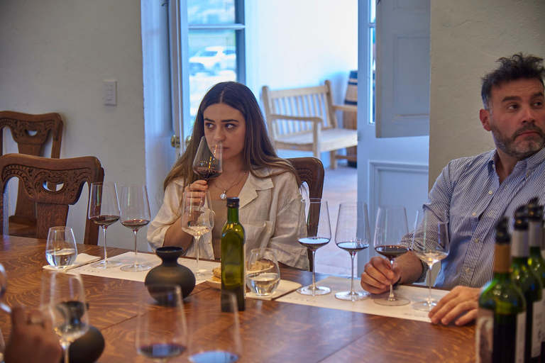 Colchagua Valley: Private Tour