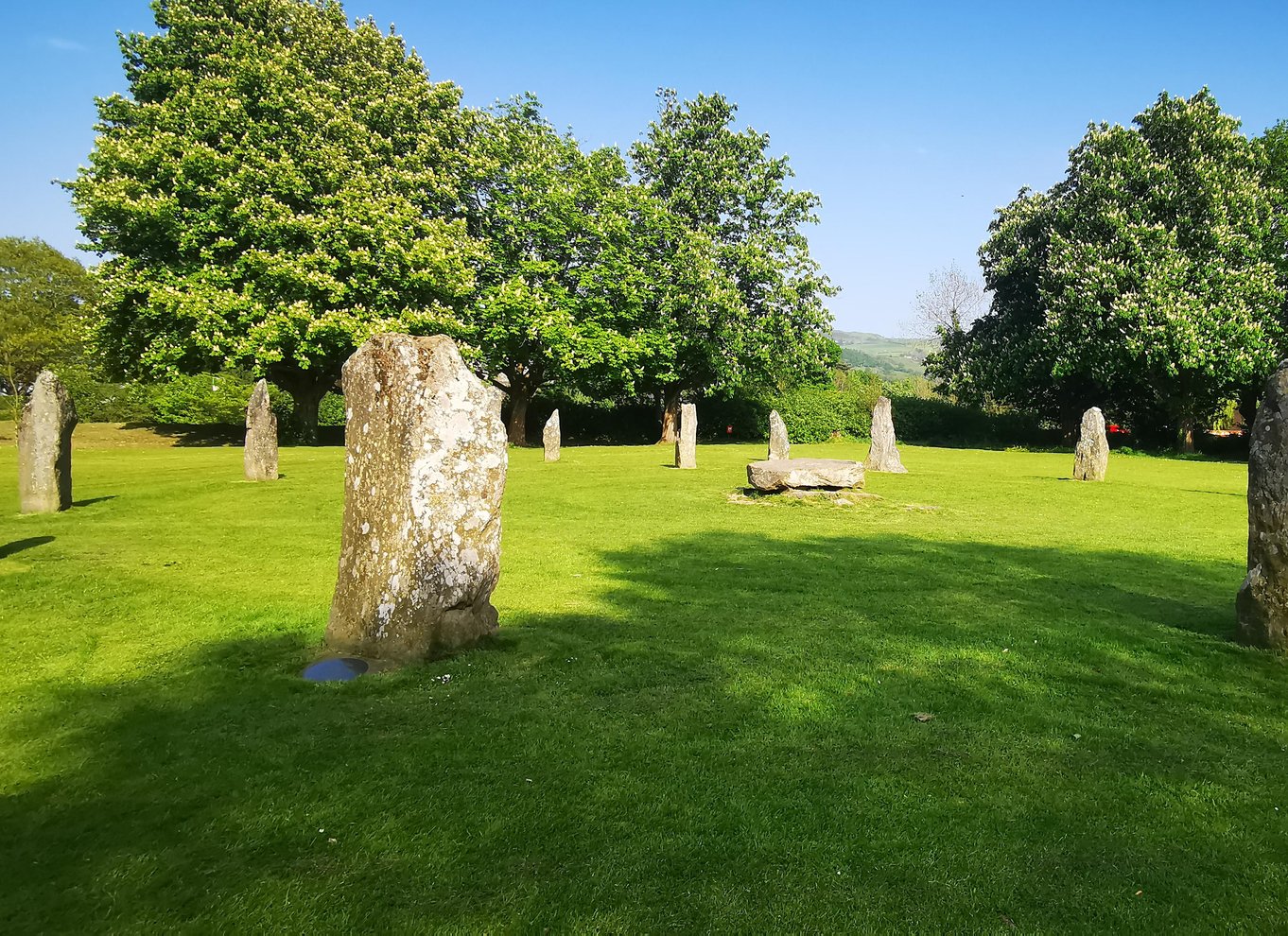 Fra Llandudno: Tur til Portmeirion, Snowdonia og slotte