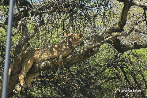 Nairobi: Lake Nakuru National Park Day Trip with Game Drive