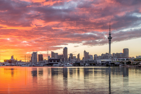 Auckland: Stadsrondleiding Hoogtepunten van de stad