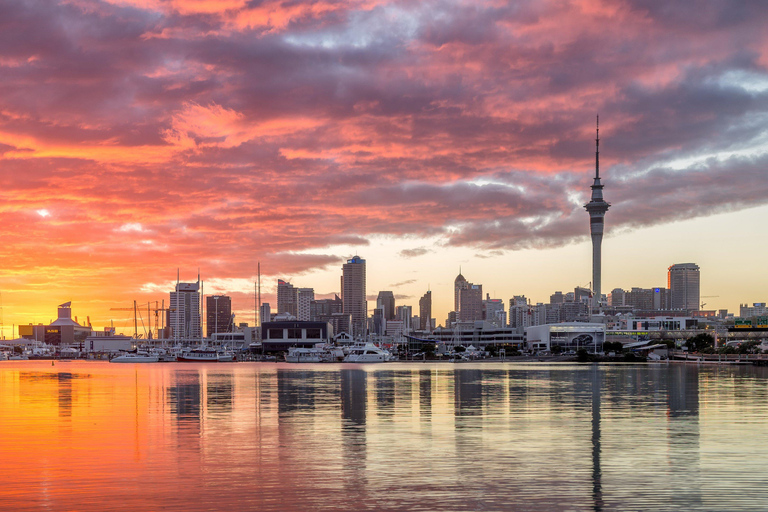 Auckland: Lo más destacado de la ciudad Tour privado