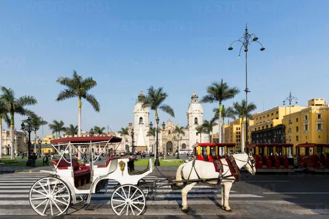Lima: Excursão de meio dia pela cidade, Palácio do Governo, Catacumbas e Huaca Pucllana