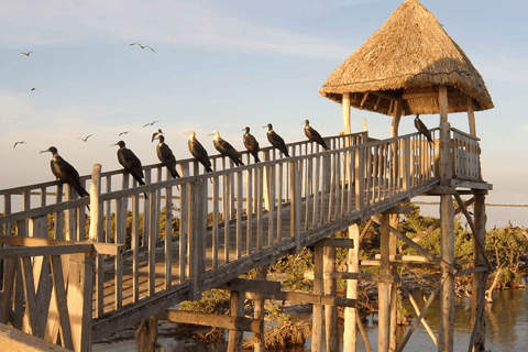 Holbox Island: Ett paradis bara en timme från Cancun