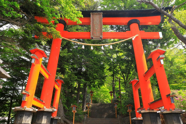 Mt. Fuji & Hakone Tour: Arakurayama, OshinoHakkai, Owakudani Tokyo Station | 7:30 AM Departure with English Guide