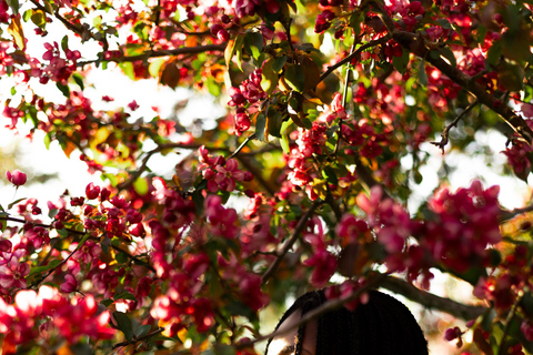 Magische Erinnerungen an Québec mit einer lokalen Fotografin