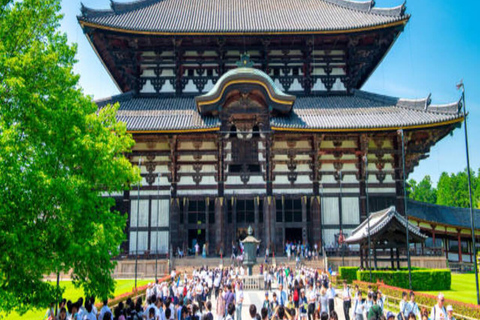 Discover Nara: The City of Deer, Temples & Timeless Beauty
