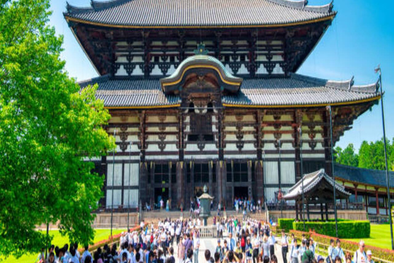 Discover Nara: The City of Deer, Temples & Timeless Beauty