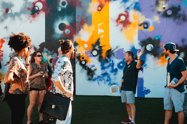 Wynwood Walls Street Art & Neighborhood Walking Tour
