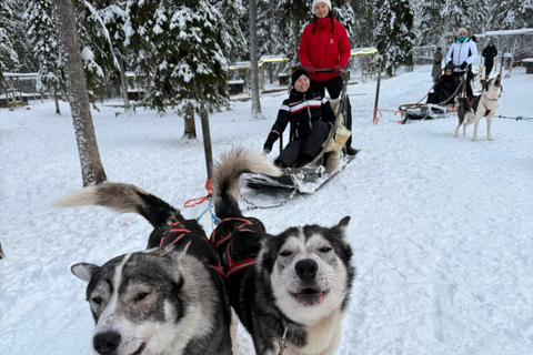 Husky Ride, Snowmobile, Trip to Ranua and Northern Lights