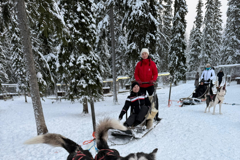 Husky Ride, Snowmobile, Trip to Ranua and Northern Lights