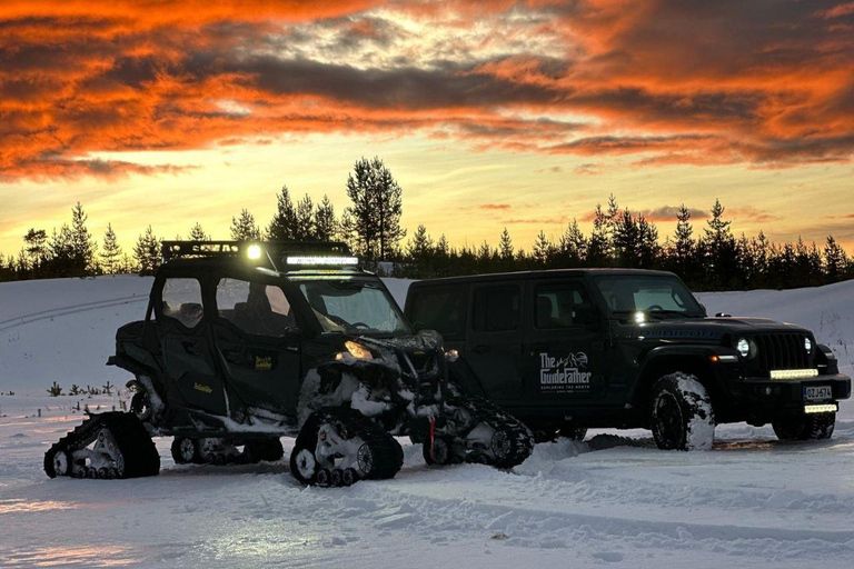 Helsinki: Buggy Ride, Reindeer Farm Visit, and Picnic