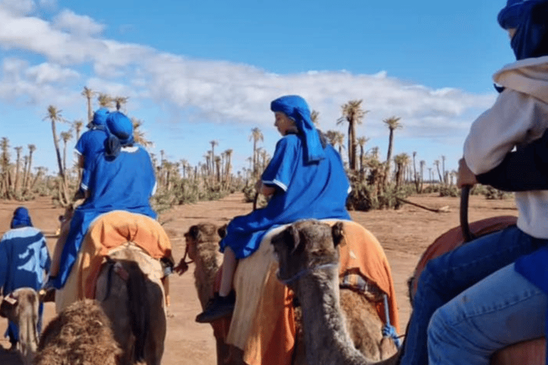 Marrakech : balade en chameau à la palmeraieMarrakech : balade en chameau de 3 h à la palmeraie