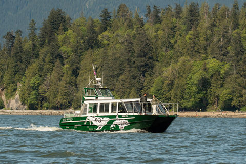 Vancouver: Catamaran Whale Watching Tour, Granville Island