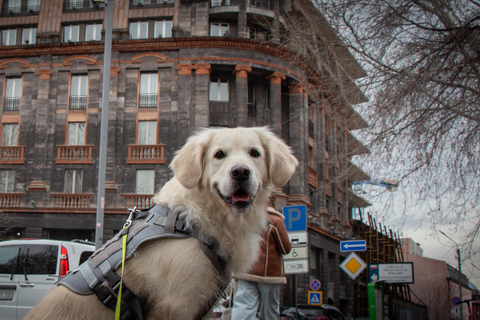 Morning walk in Yerevan: Guided Tour with my dog Charlie