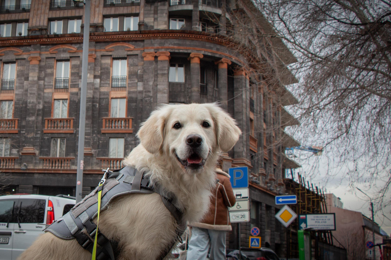 Morning walk in Yerevan: Guided Tour with my dog Charlie