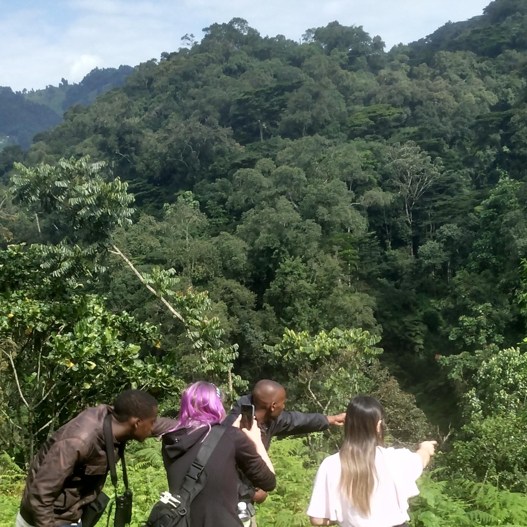 르완다 \u0026 우간다 영장류 사파리 7일 베스트 투어 | GetYourGuide, image size:1080x1080