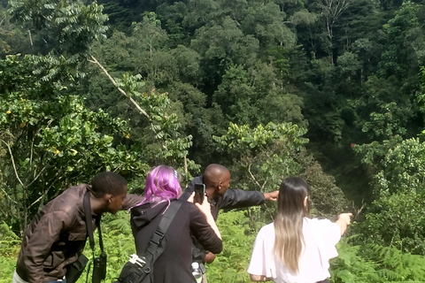 Dagstur i vulkanernas nationalpark - Gorillatrekking i Rwanda