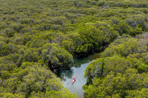 Adelaide: City to Sea, Bike and Kayak Safari
