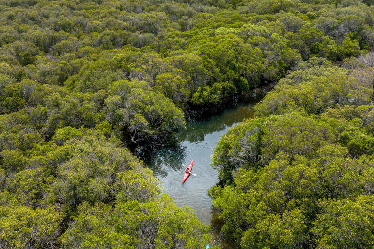 Adelaide: City to Sea, Bike and Kayak Safari