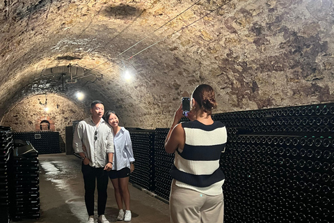 من ريمس/إبيرناي: تجربة الطعام والشمبانيامن إيبرناي: تجربة الطعام والشمبانيا