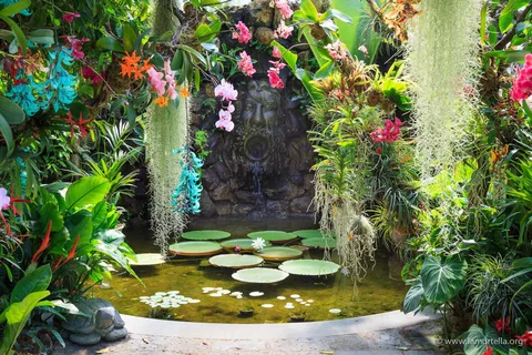 Ischia: La Mortella Gardens Trip with Optional Lunch